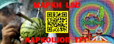 PSILOCYBIN Кинель