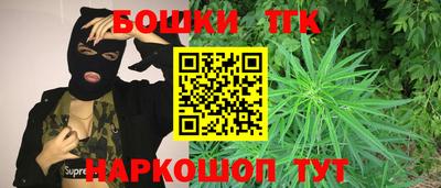 сатива Кингисепп