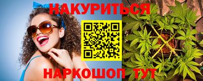 сатива Кингисепп