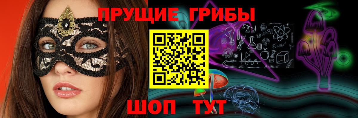 Псилоцибиновые грибы Psilocybine cubensis  Вход с VPN  Черкесск 