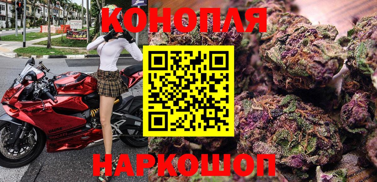 Канабис OG Kush Черкесск